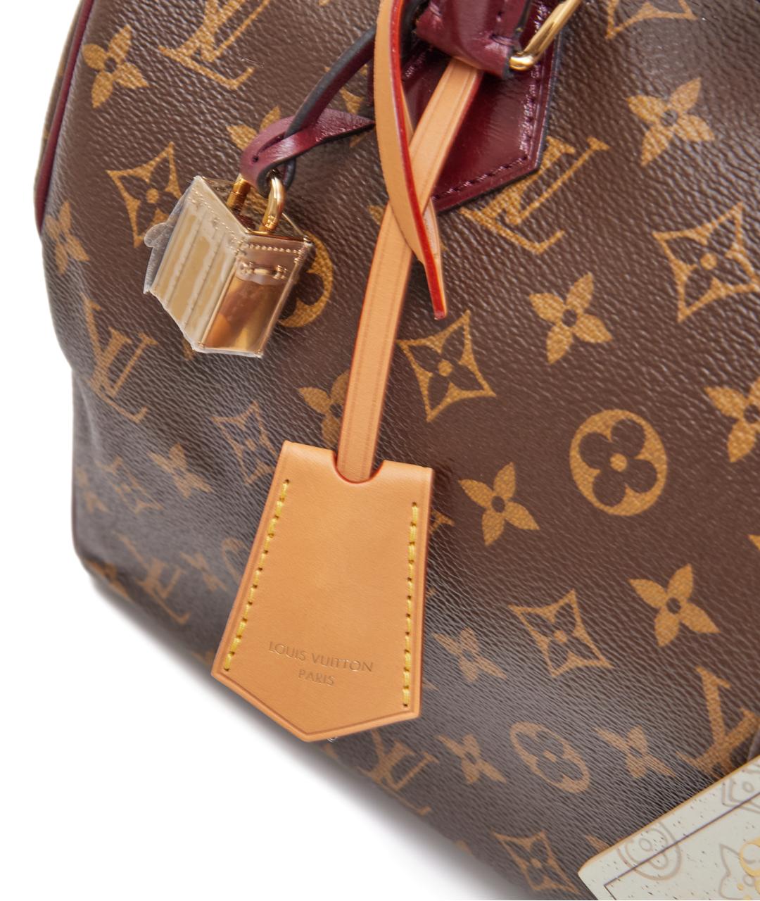 LOUIS VUITTON Коричневая кожаная сумка с короткими ручками, фото 6