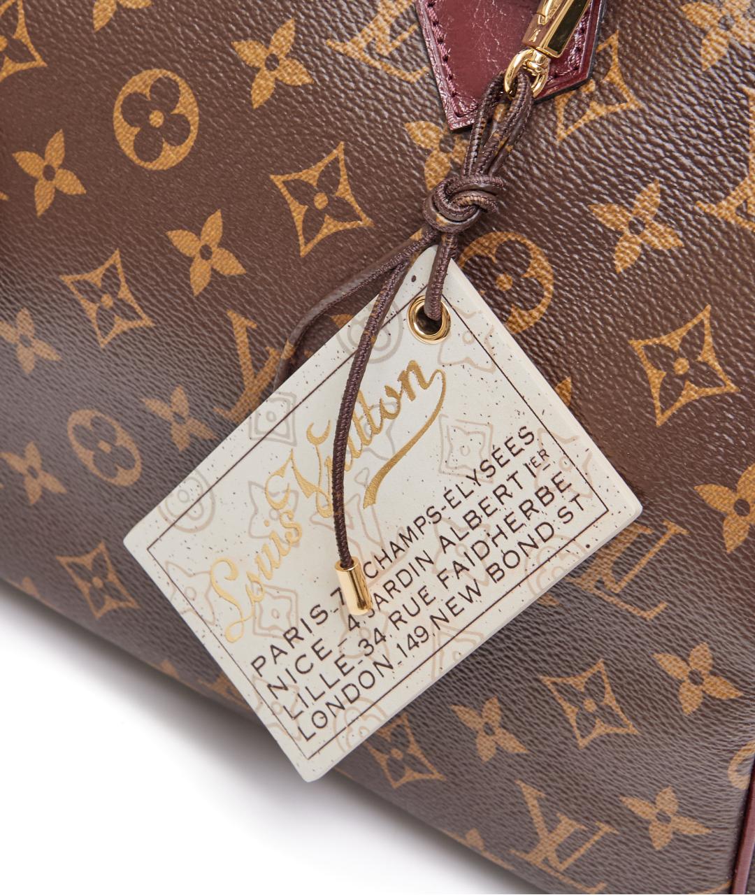 LOUIS VUITTON Коричневая кожаная сумка с короткими ручками, фото 5