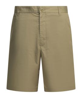 CARHARTT WIP Шорты