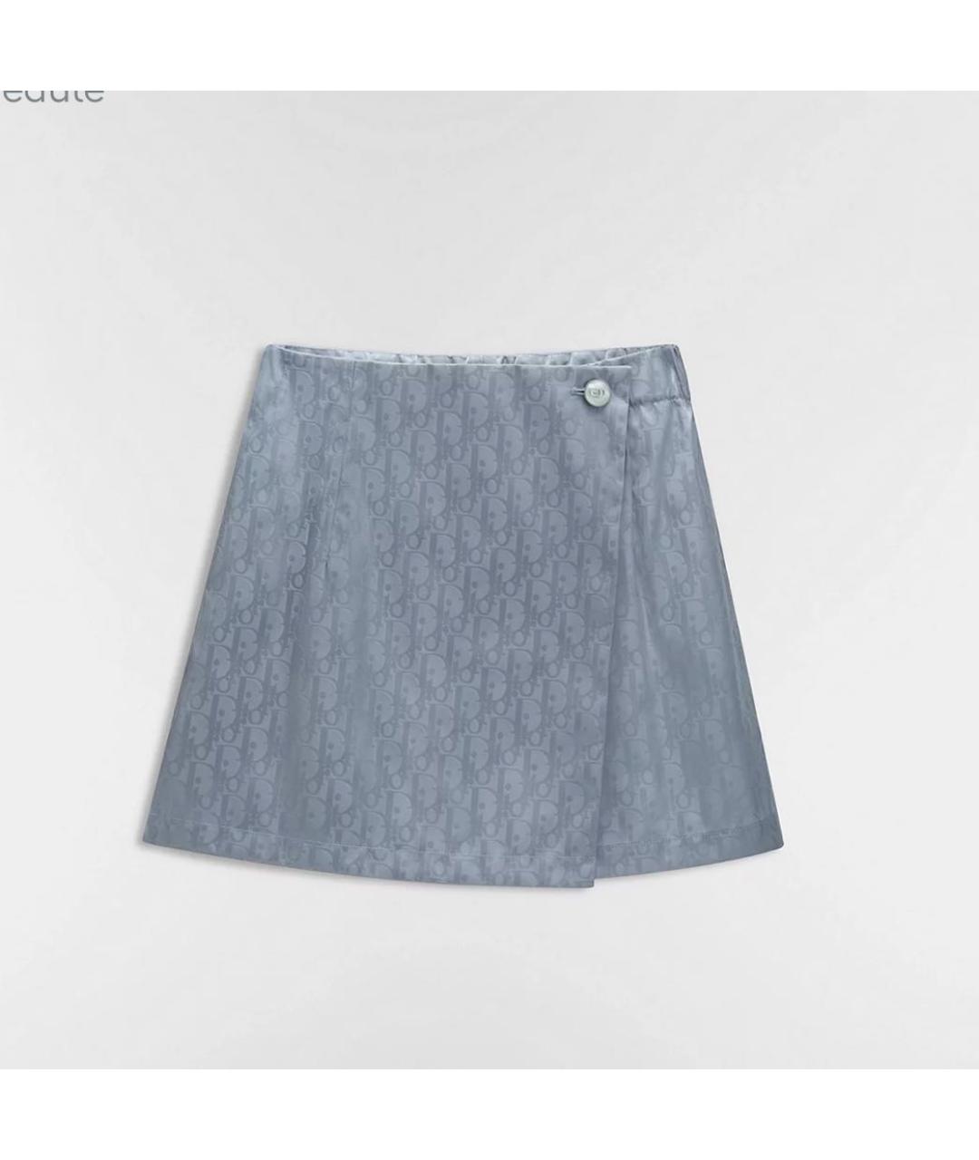 CHRISTIAN DIOR Серые шорты, фото 5