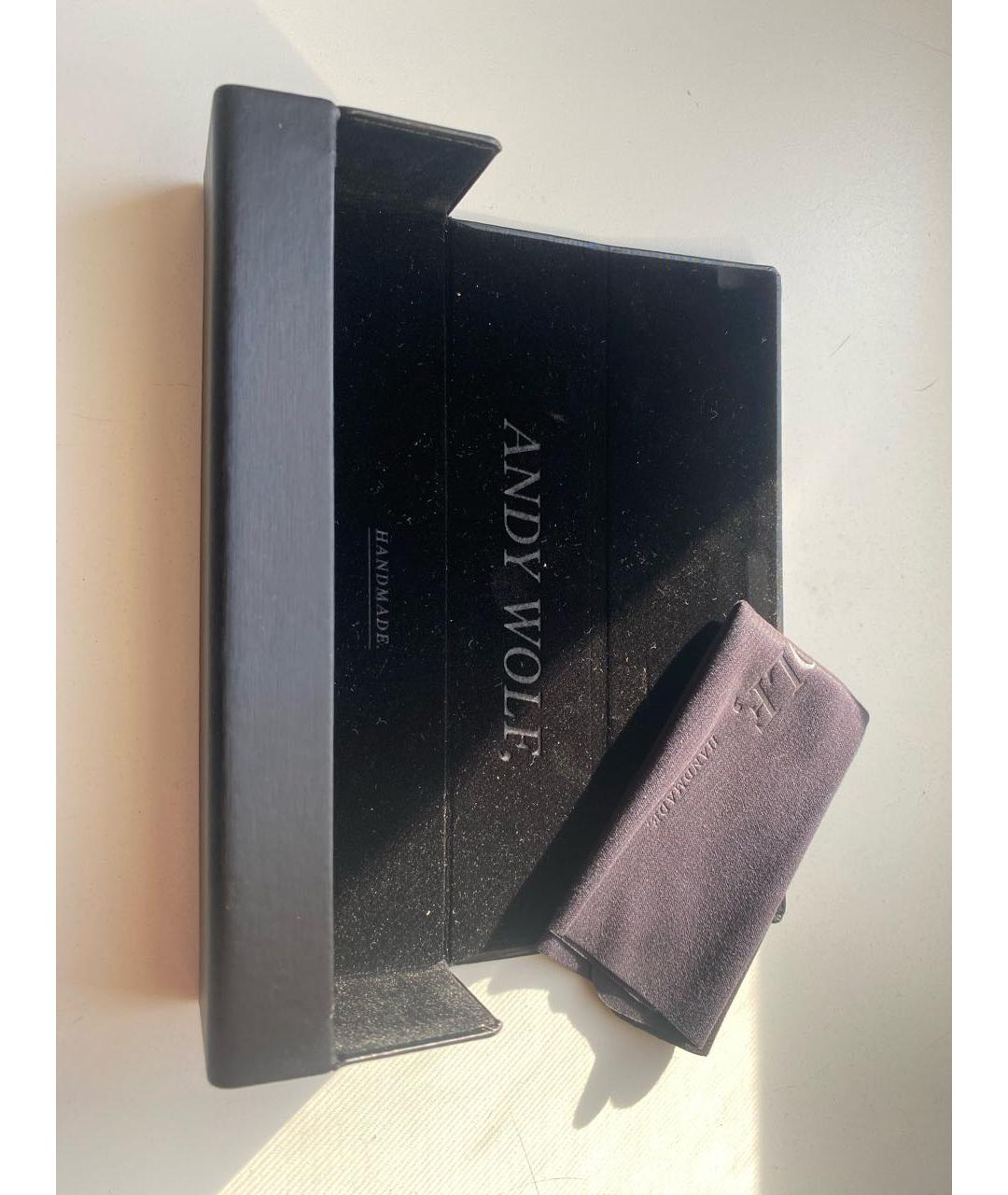 ANDY WOLF EYEWEAR Черные металлические солнцезащитные очки, фото 4