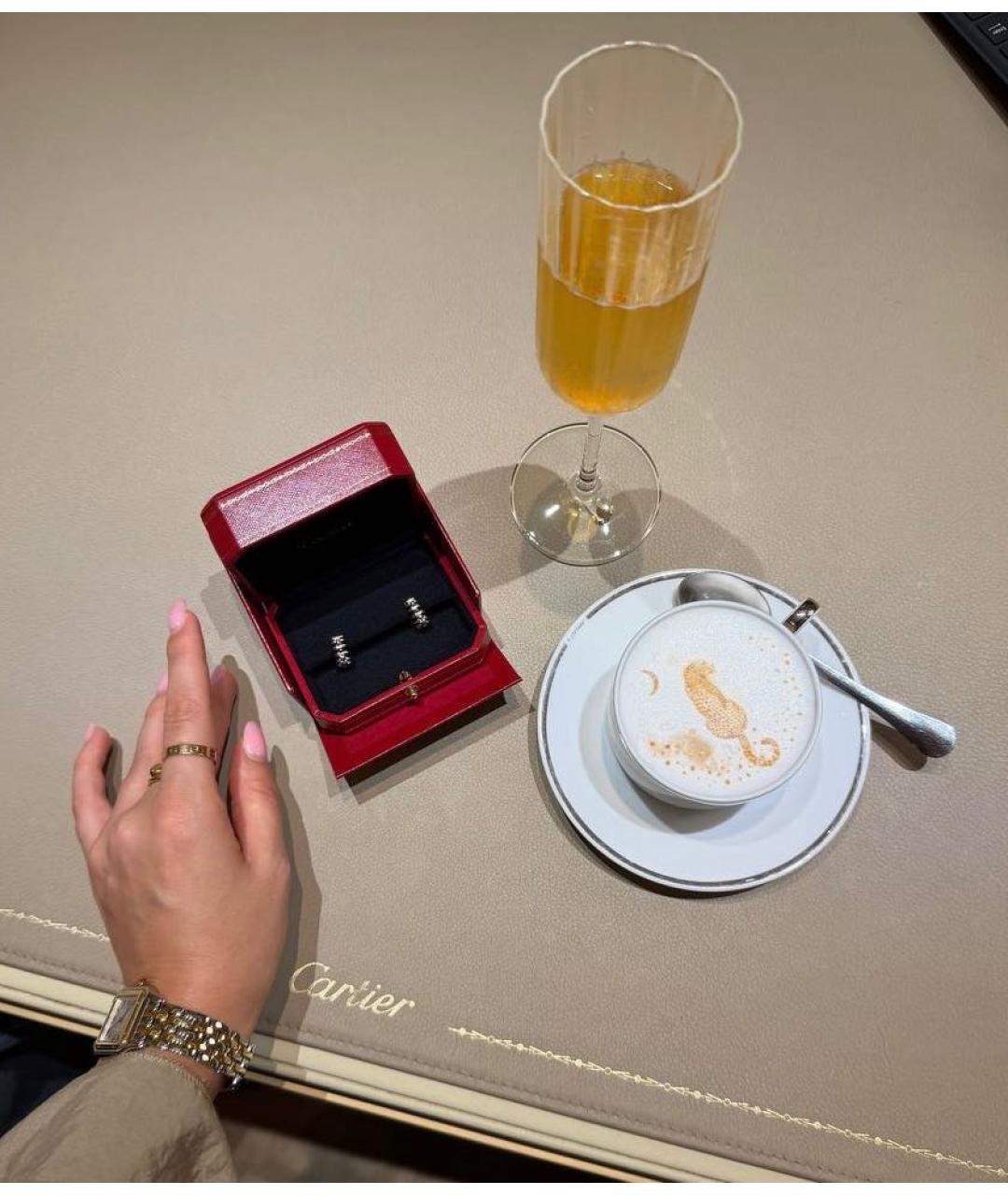 CARTIER Серебряные серьги из белого золота, фото 5