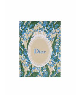 CHRISTIAN DIOR Книга