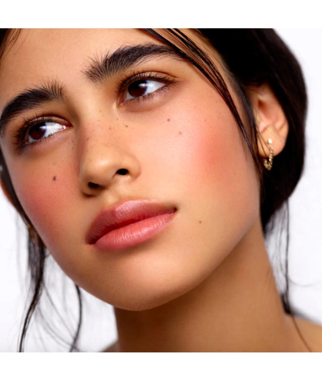 ROSE INC Румяна, фото 2