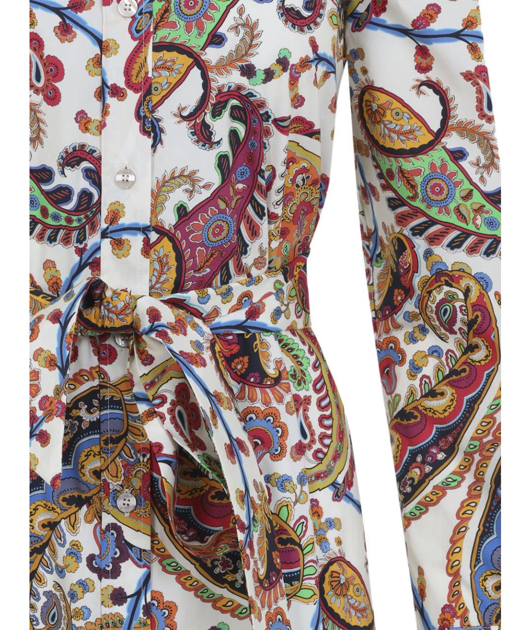 ETRO Мульти хлопковое повседневное платье, фото 3