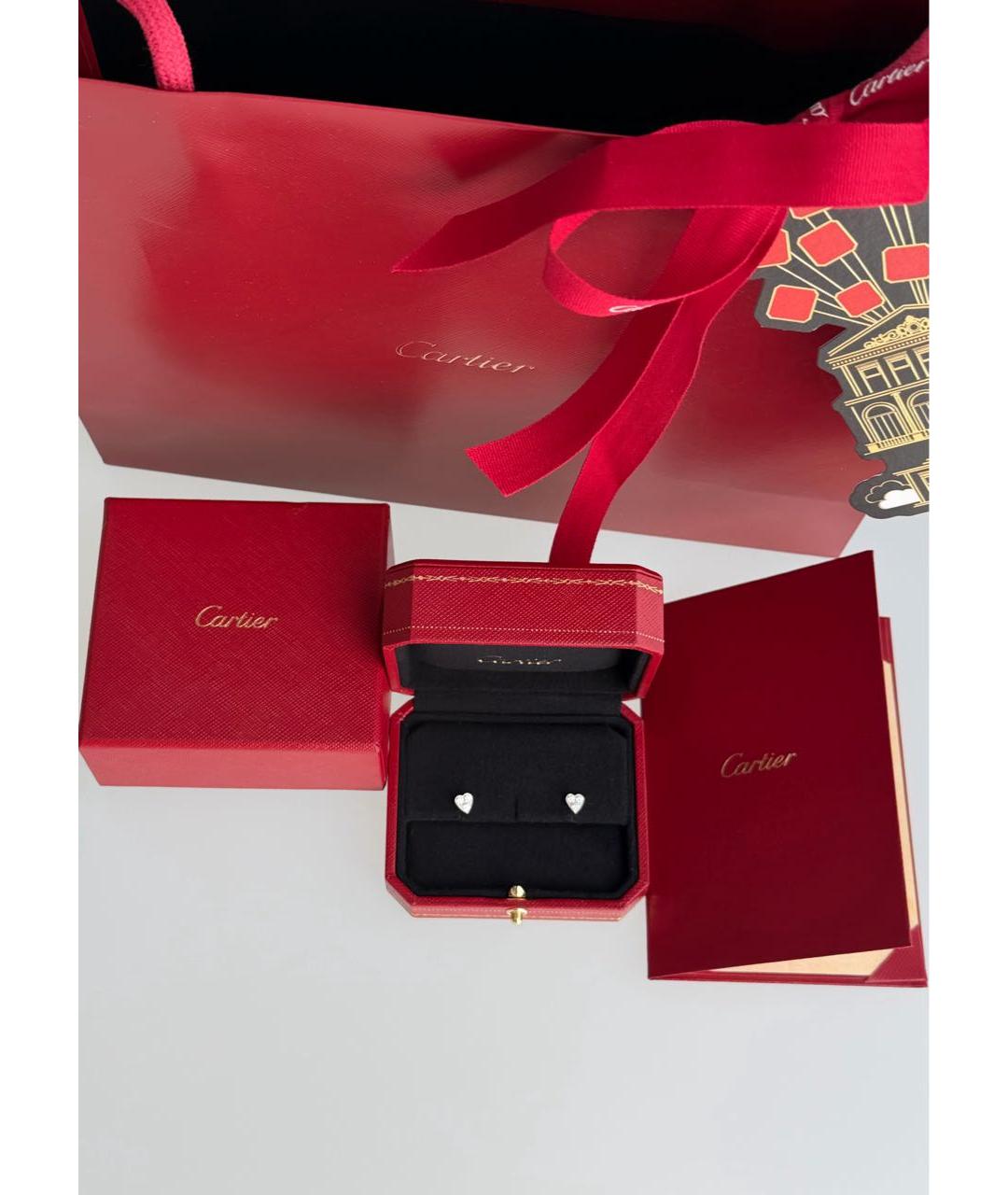 CARTIER Белые серьги, фото 5