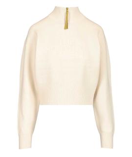 THE NORTH FACE Джемпер / свитер