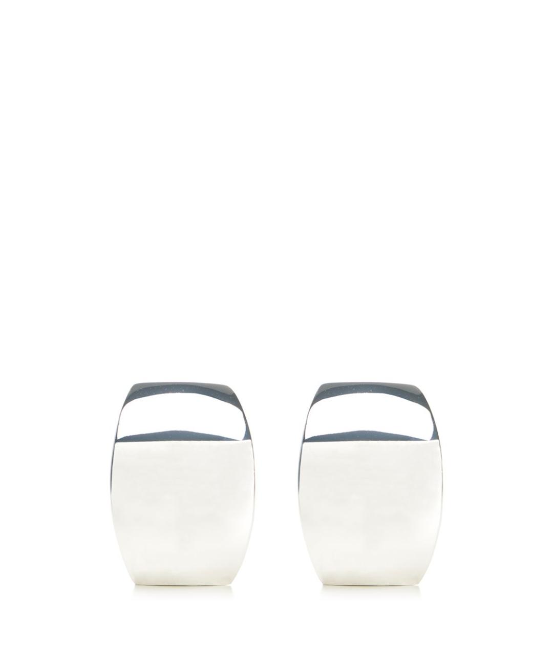 FEDERICA TOSI Серебряные металлические серьги, фото 1