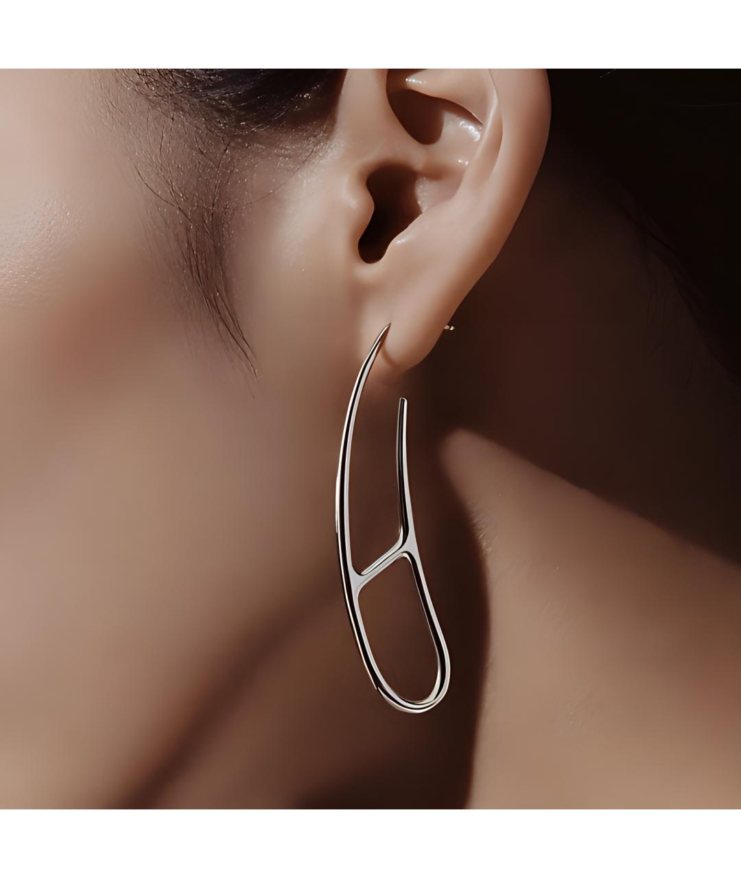 HERMES Серебряные серебряные серьги, фото 2