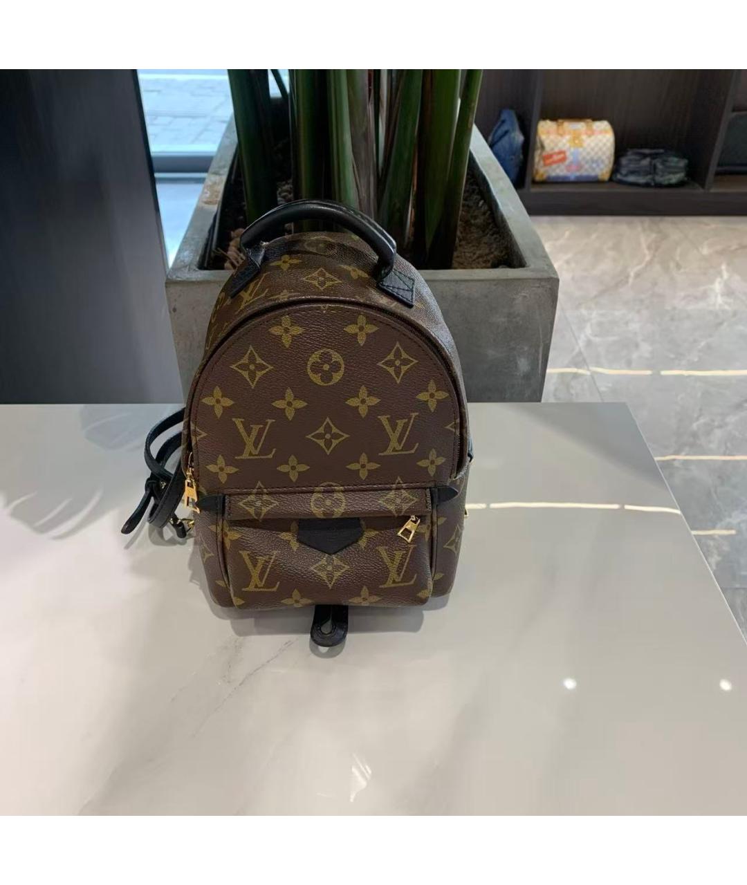 LOUIS VUITTON Рюкзак, фото 6