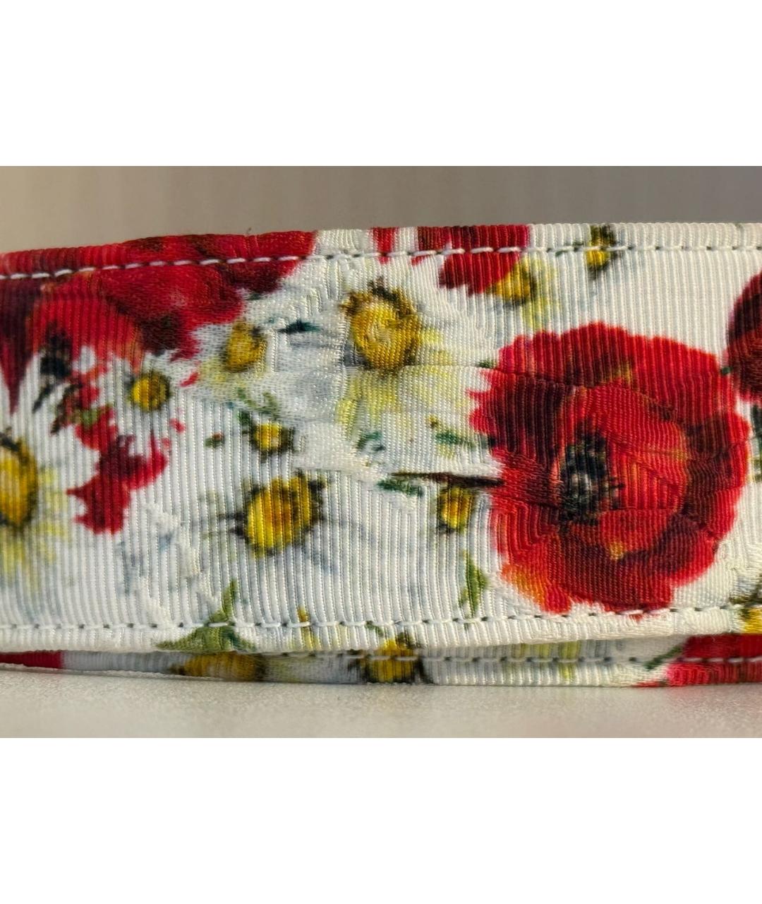 DOLCE&GABBANA Мульти ремень, фото 2