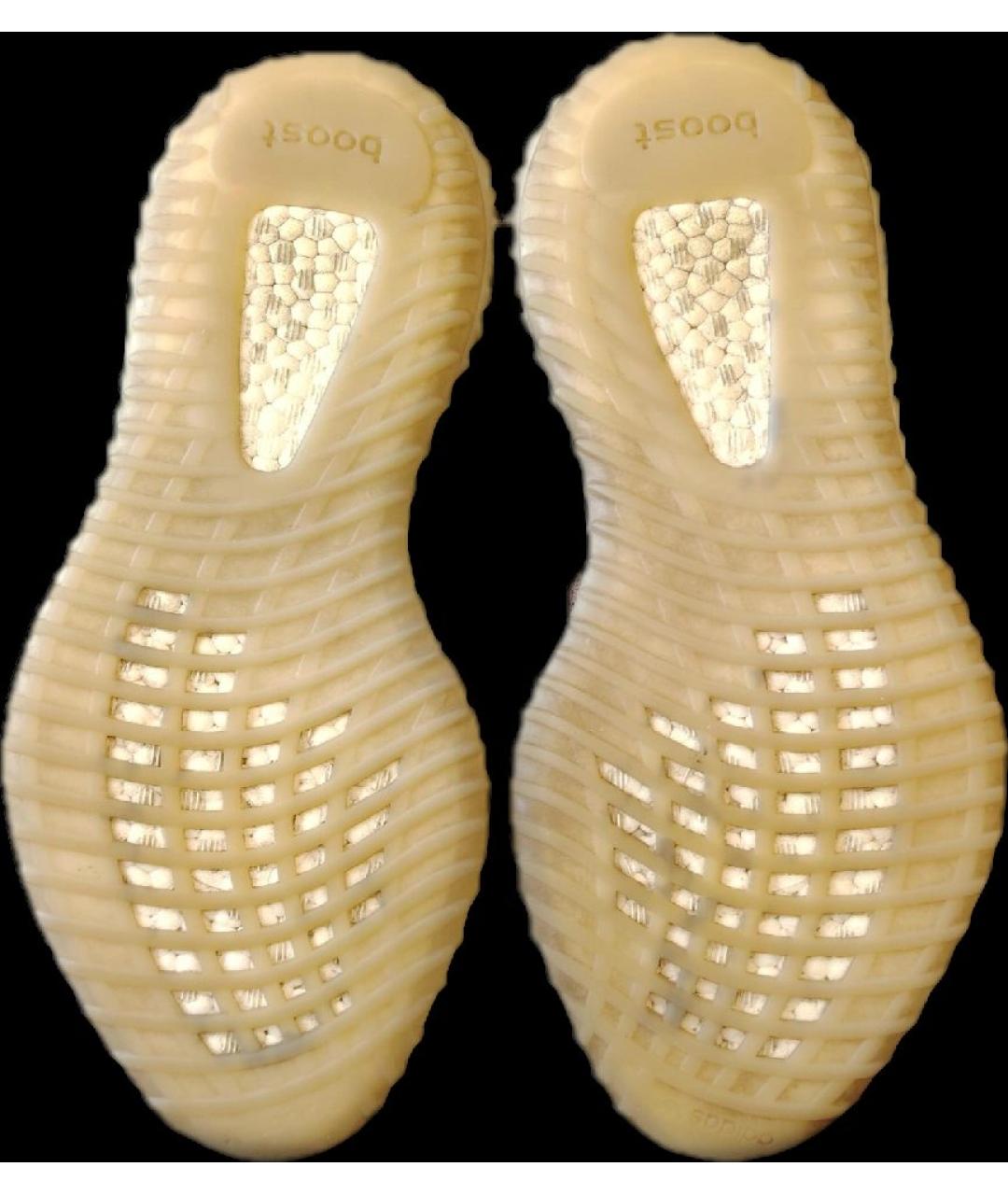 ADIDAS Бежевые текстильные низкие кроссовки / кеды, фото 7