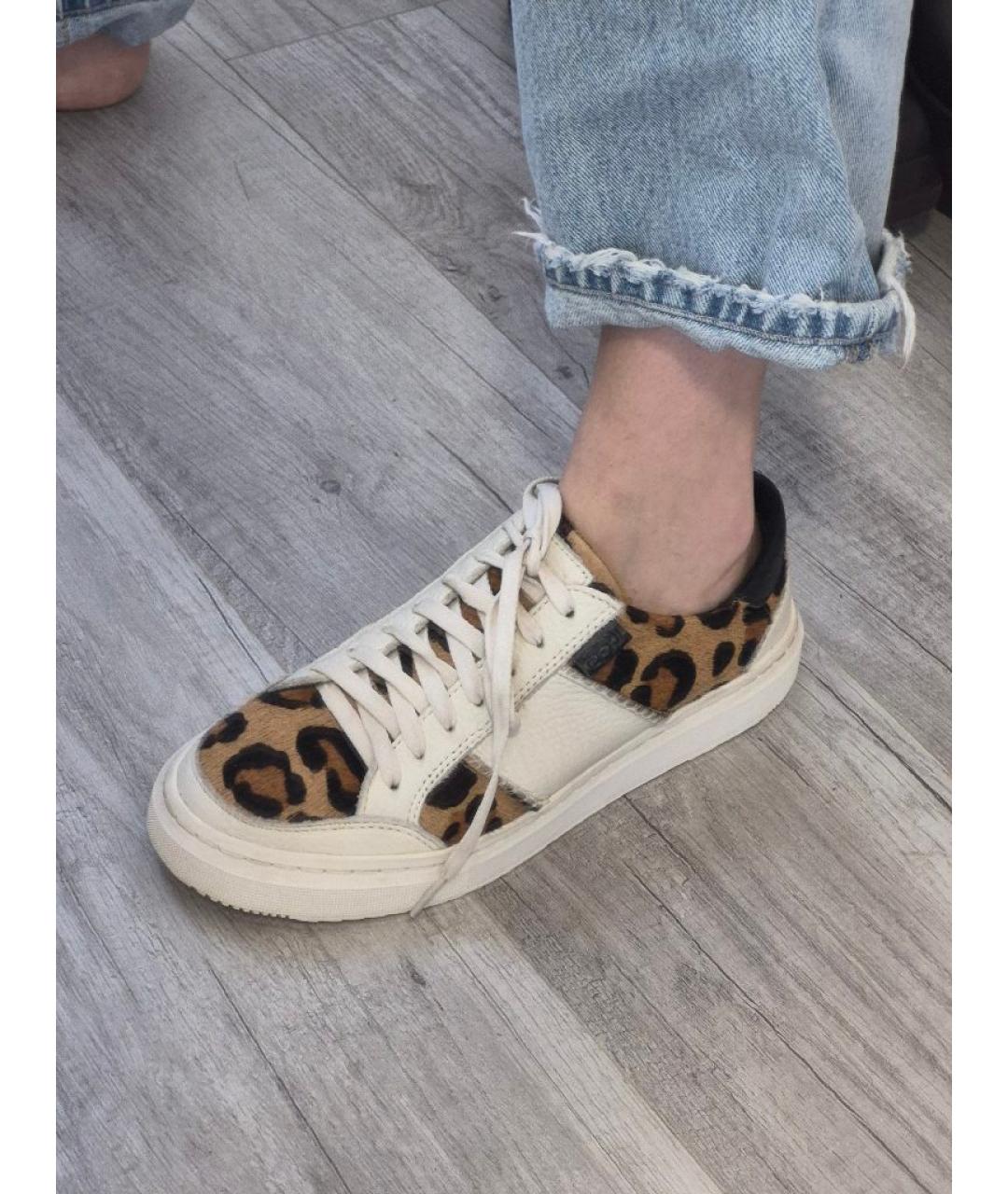 UGG AUSTRALIA Белые кожаные кеды, фото 5