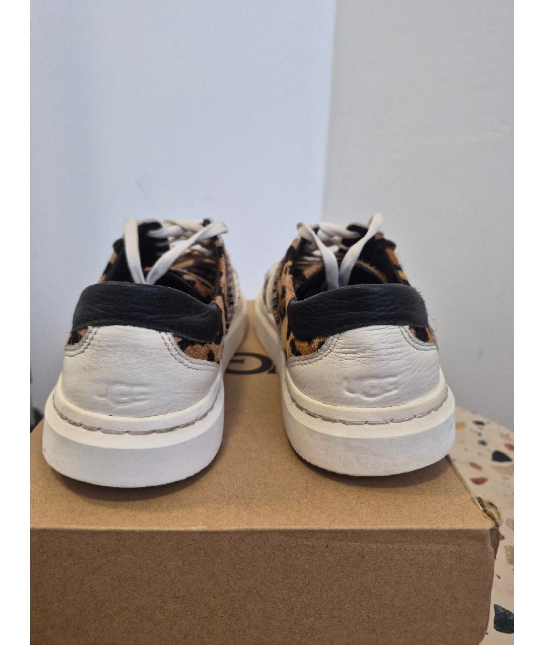 UGG AUSTRALIA Белые кожаные кеды, фото 3