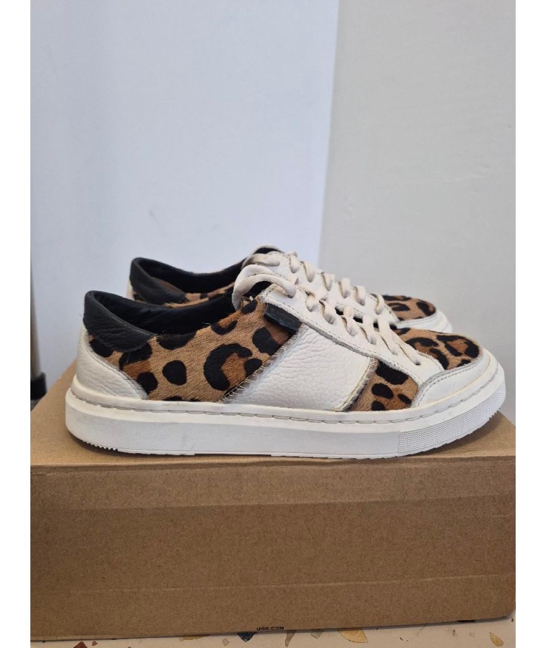 UGG AUSTRALIA Белые кожаные кеды, фото 8