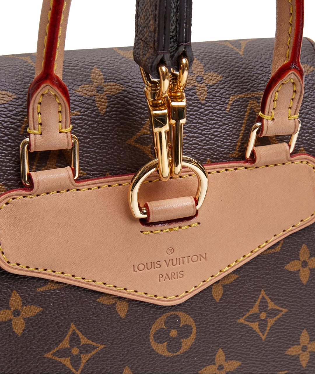 LOUIS VUITTON Коричневый кожаный рюкзак, фото 7