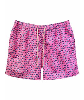 MC2 SAINT BARTH Шорты