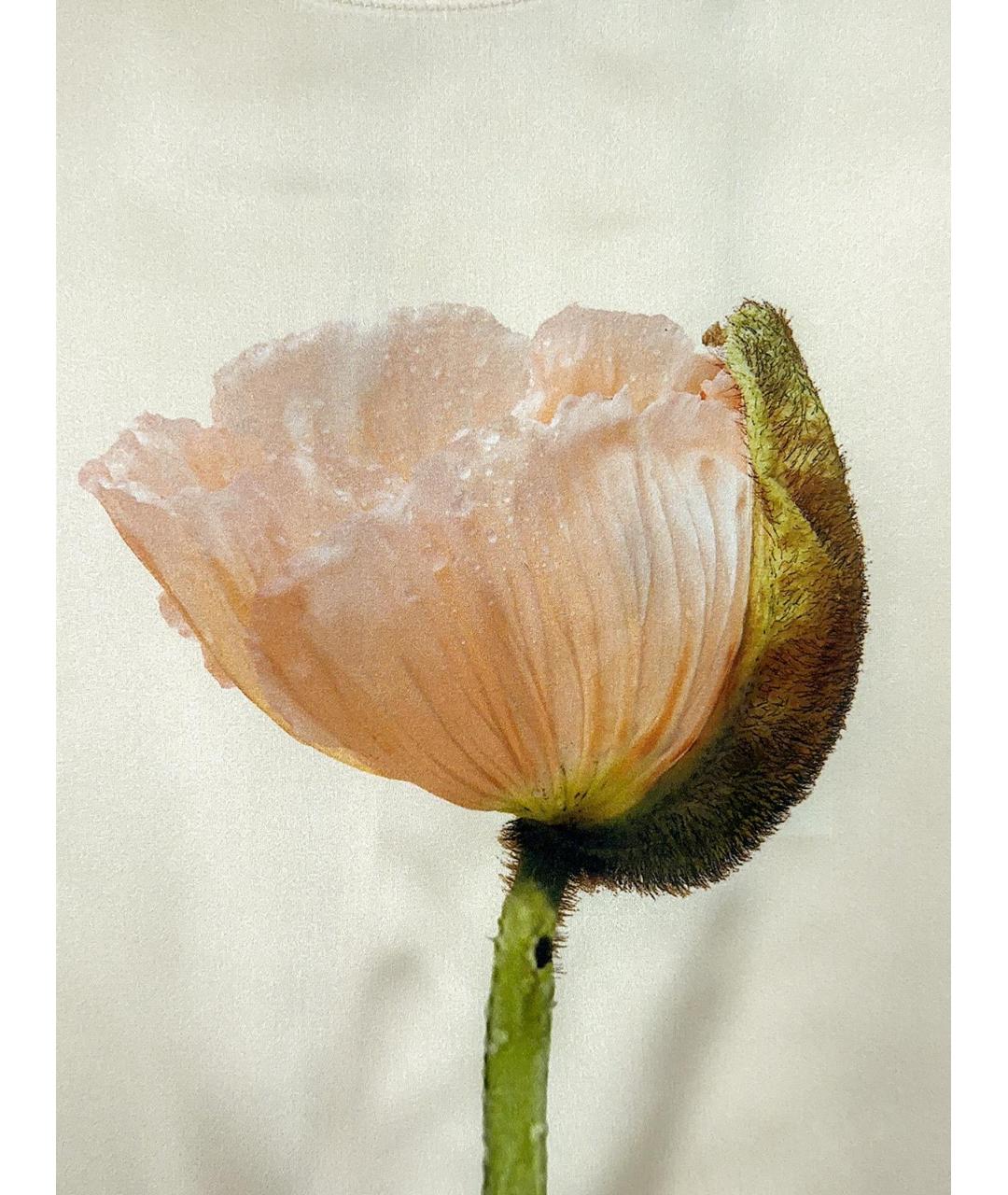 SIMONE ROCHA Бежевая футболка, фото 3