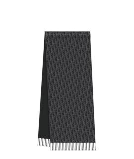 CHRISTIAN DIOR Шарф