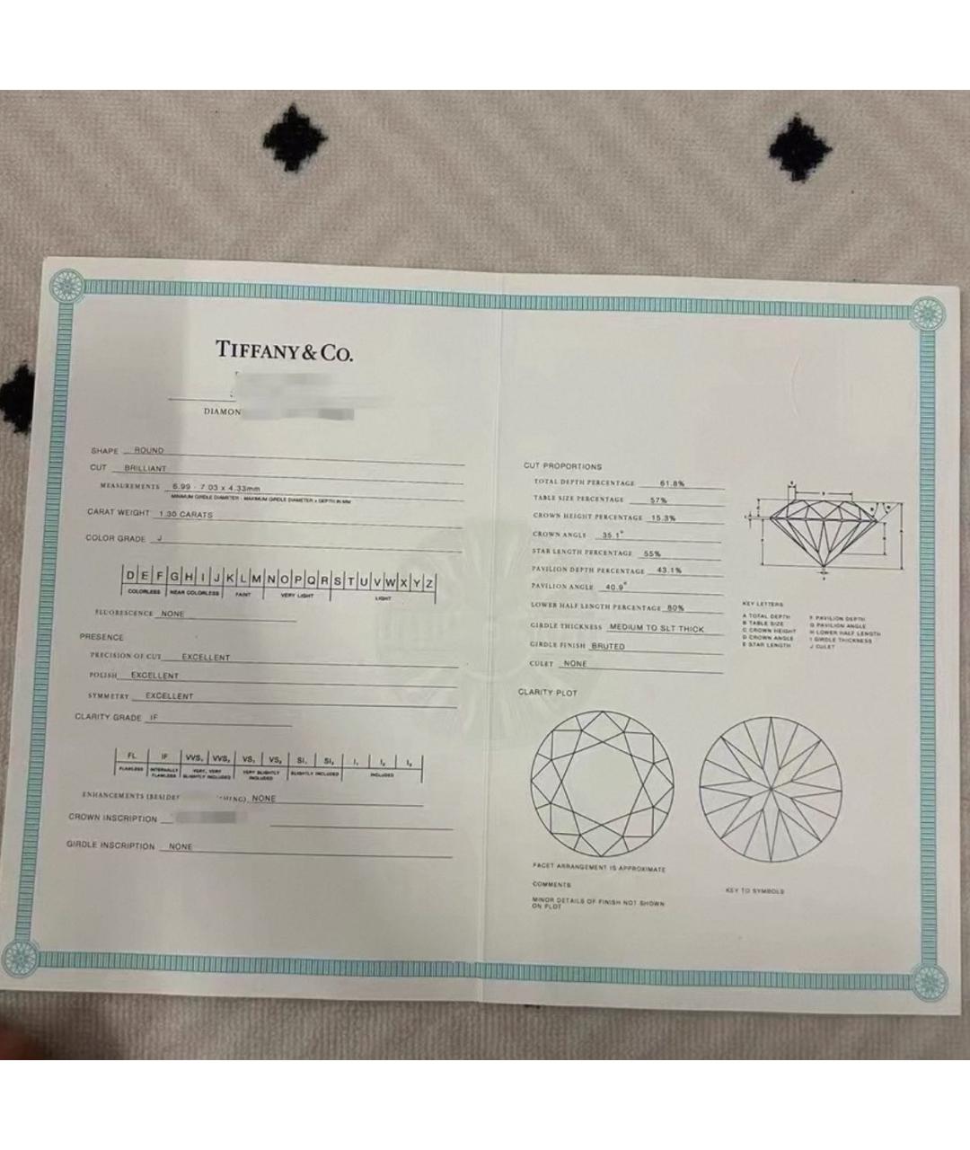 TIFFANY&CO Серебряные серьги из белого золота, фото 3