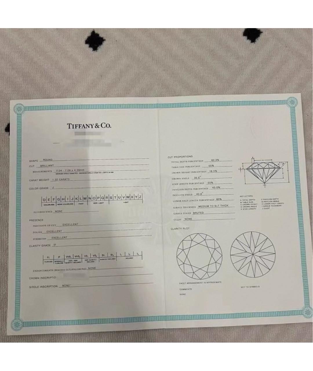 TIFFANY&CO Серебряные серьги из белого золота, фото 2