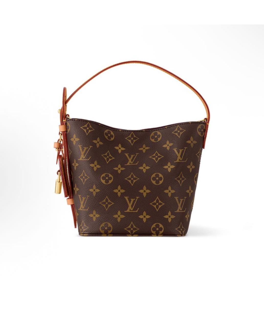 LOUIS VUITTON Коричневая сумка тоут, фото 4