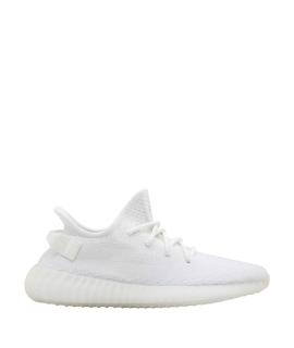 ADIDAS YEEZY Низкие кроссовки / кеды