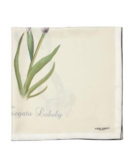 ALBERTA FERRETTI Платок