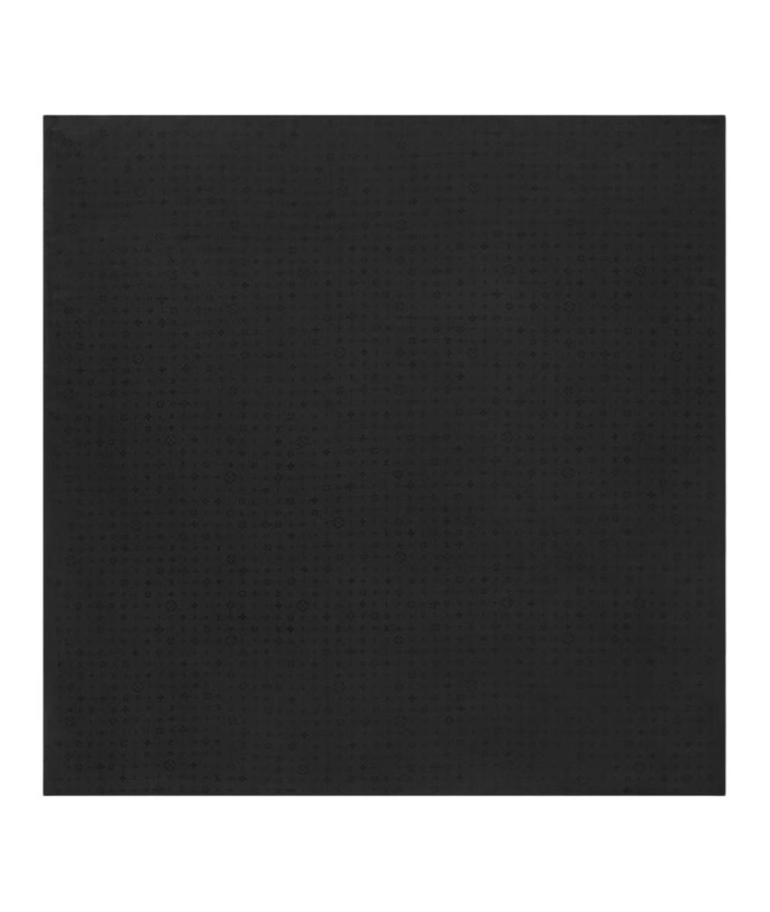 LOUIS VUITTON Черный шарф, фото 1