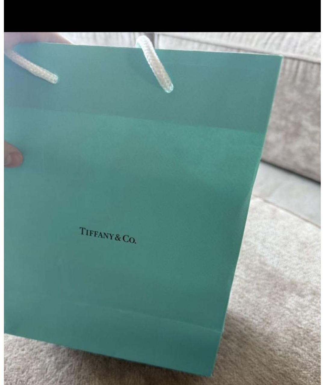 TIFFANY&CO Черные пластиковые солнцезащитные очки, фото 2