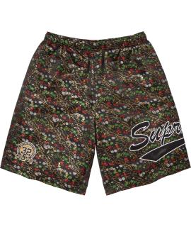 SUPREME Шорты