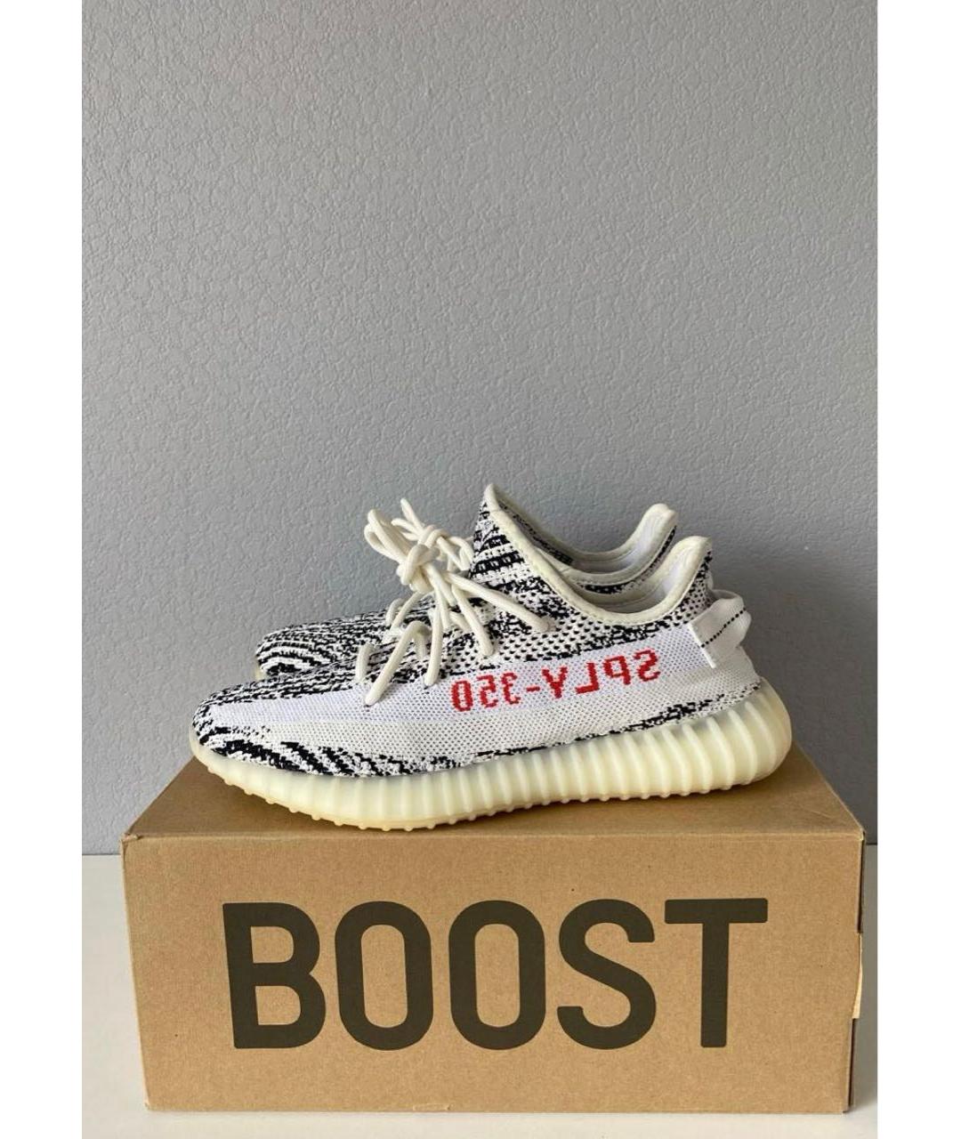 ADIDAS YEEZY Низкие кроссовки / кеды, фото 5