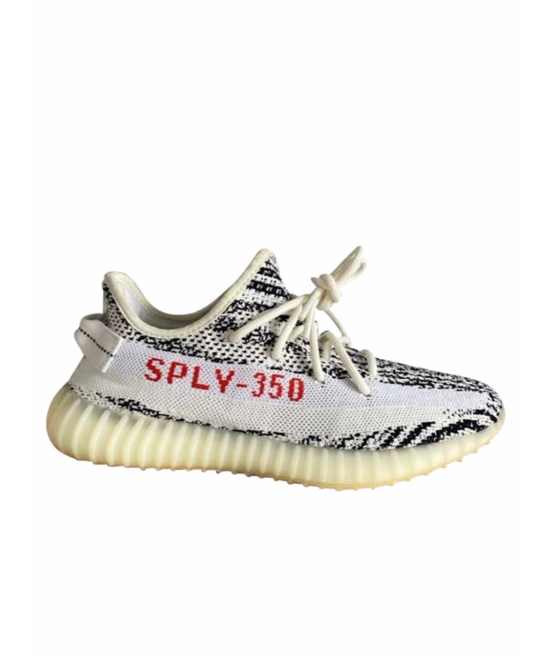 ADIDAS YEEZY Низкие кроссовки / кеды, фото 1