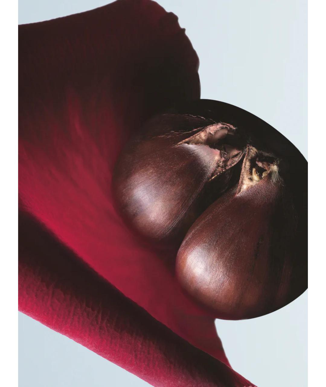 DRIES VAN NOTEN Аромат для женщин, фото 3