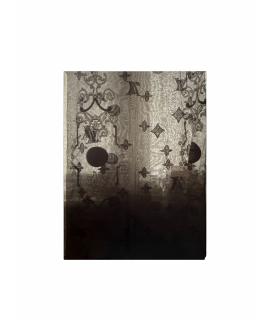 LOUIS VUITTON Шарф