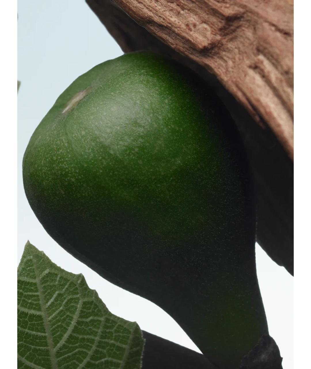 DRIES VAN NOTEN Аромат для женщин, фото 3