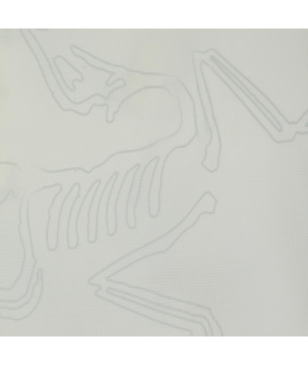 ARCTERYX Футболка, фото 3