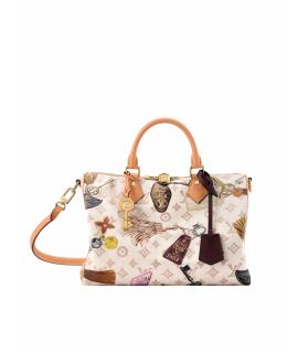 LOUIS VUITTON Сумка тоут