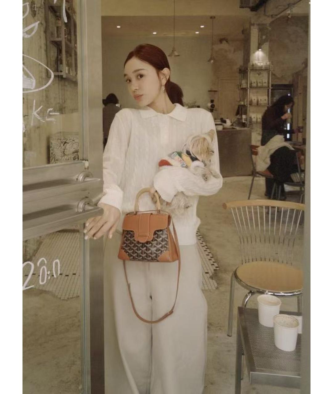 GOYARD Сумка через плечо, фото 5