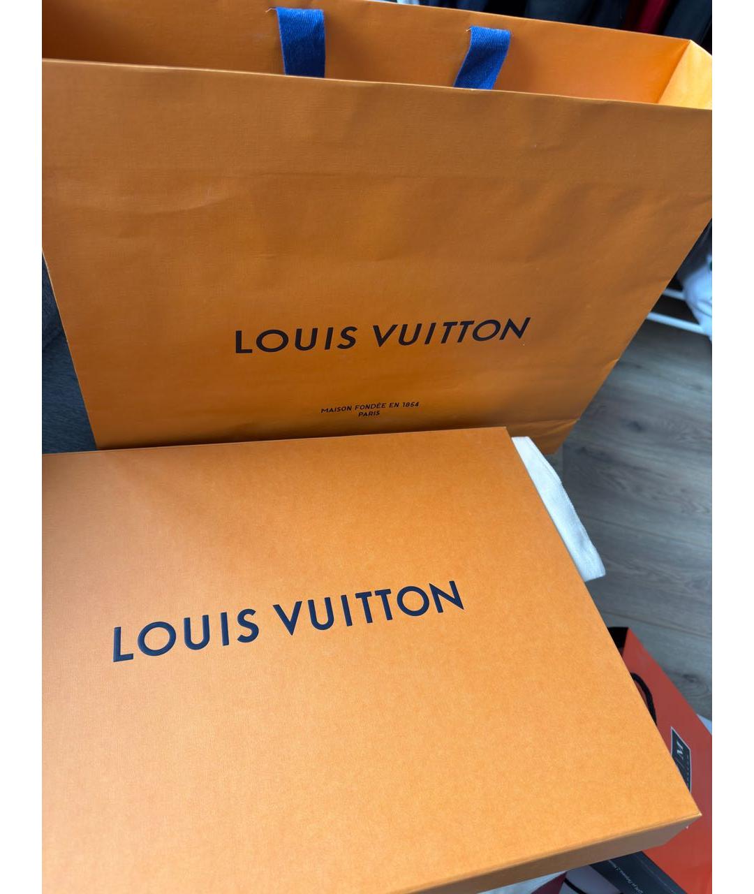 LOUIS VUITTON Коричневая кожаная сумка тоут, фото 4