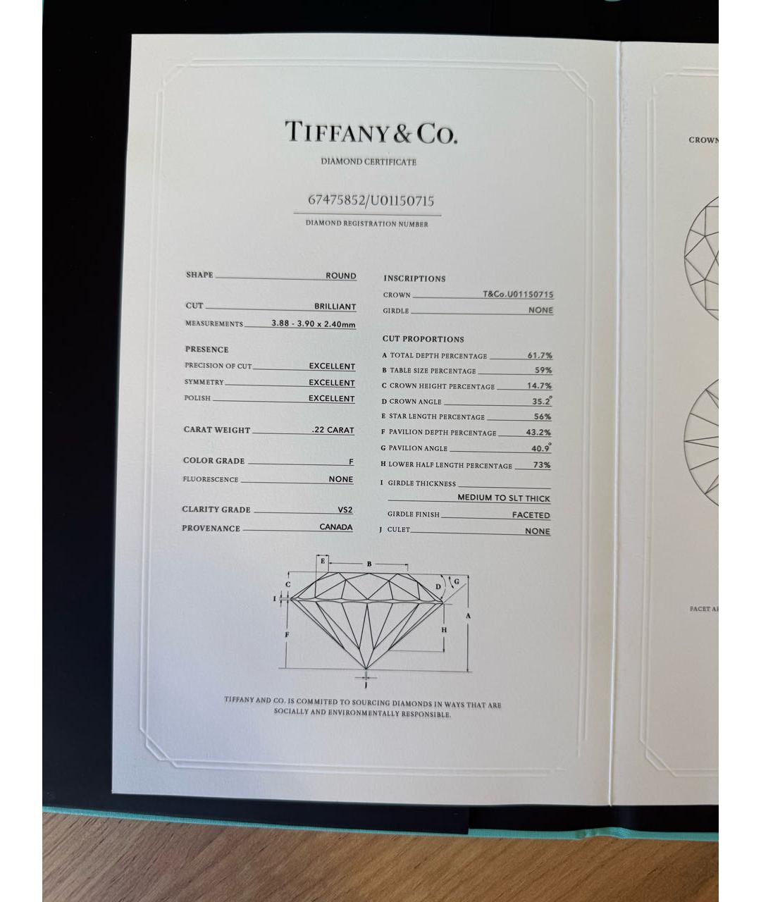 TIFFANY&CO Белое платиновое кольцо, фото 7