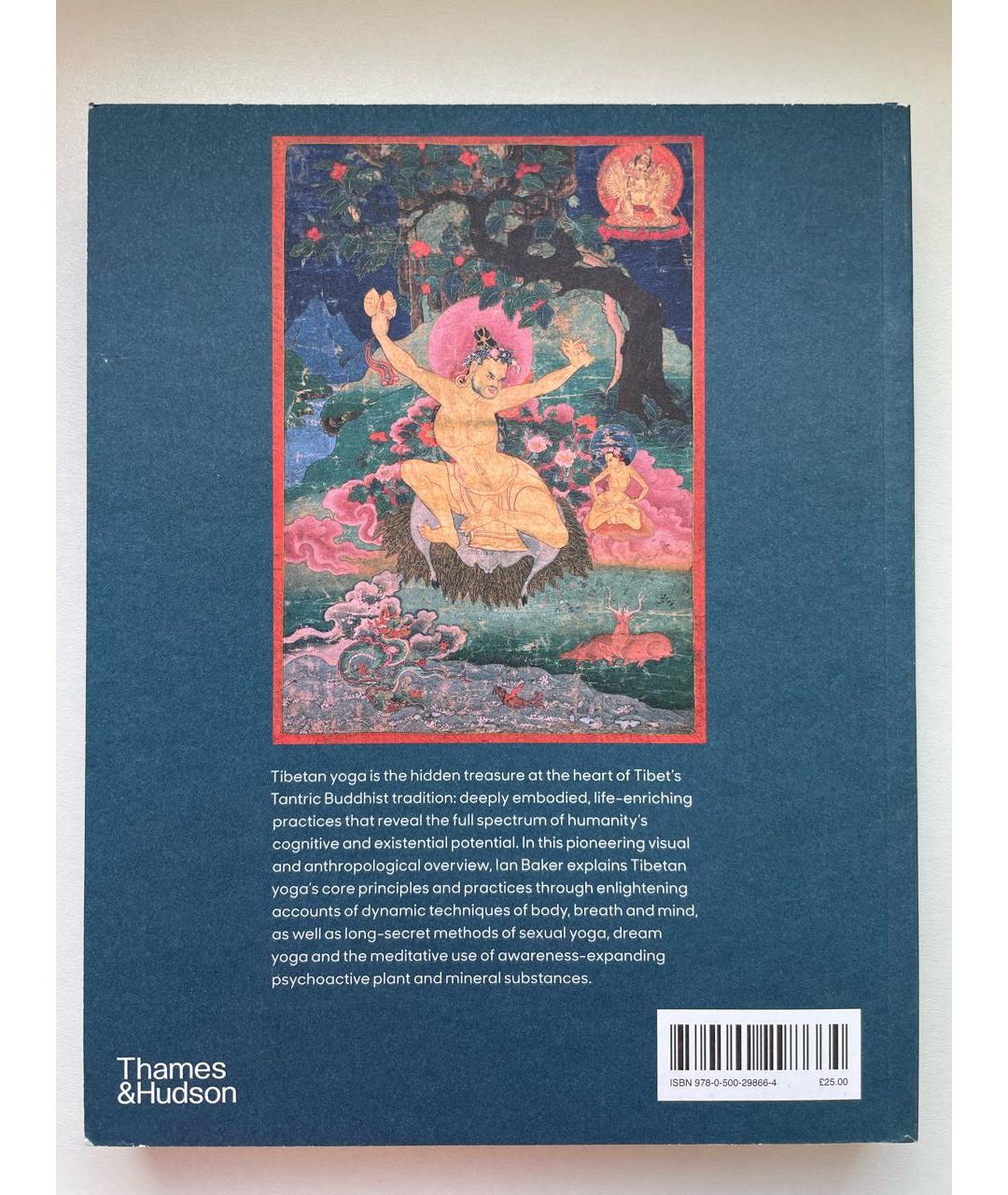 THAMES & HUDSON Книга, фото 3