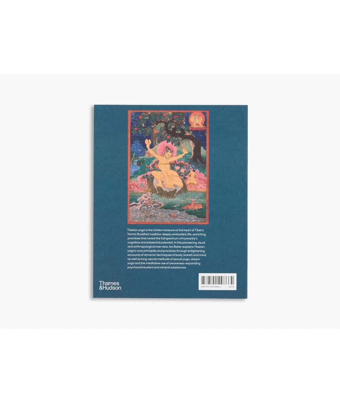 THAMES & HUDSON Книга, фото 6