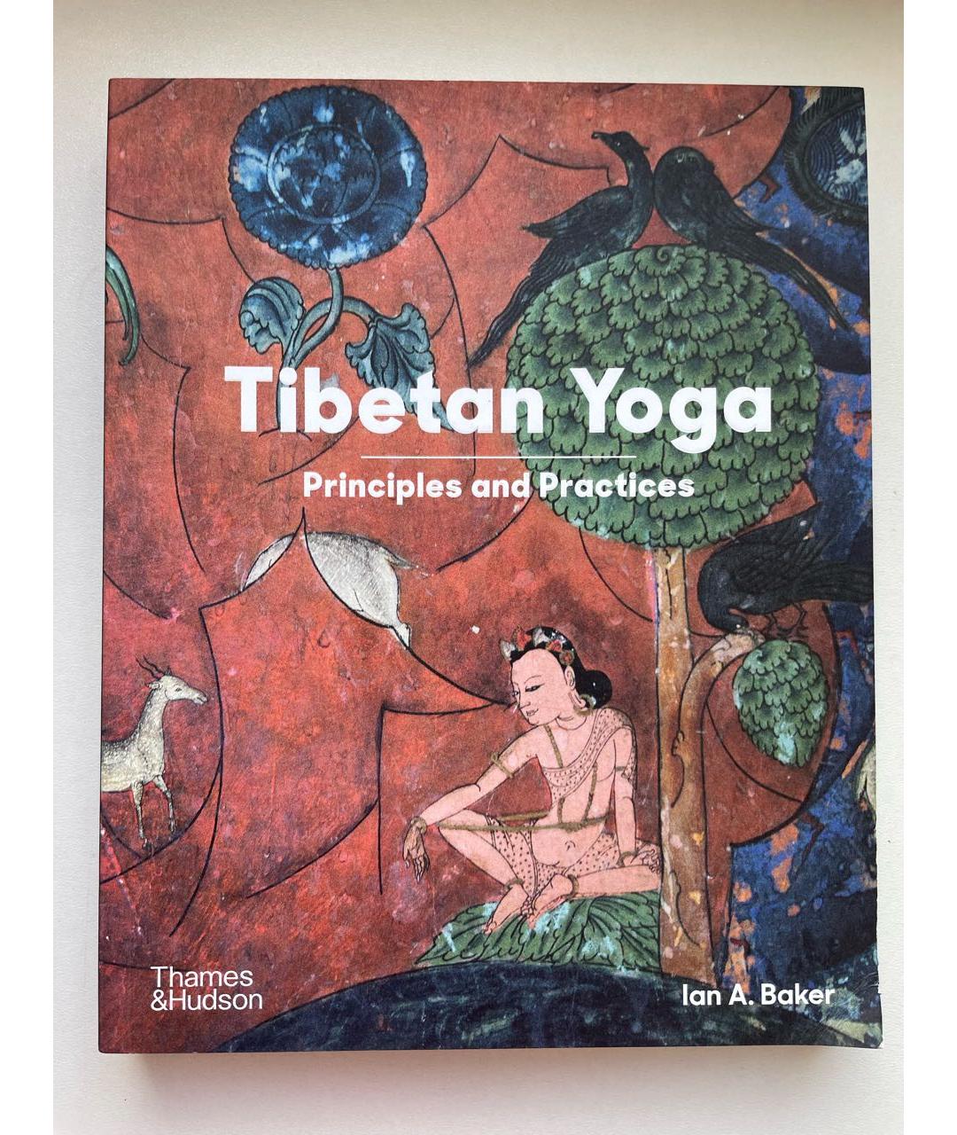 THAMES & HUDSON Книга, фото 2