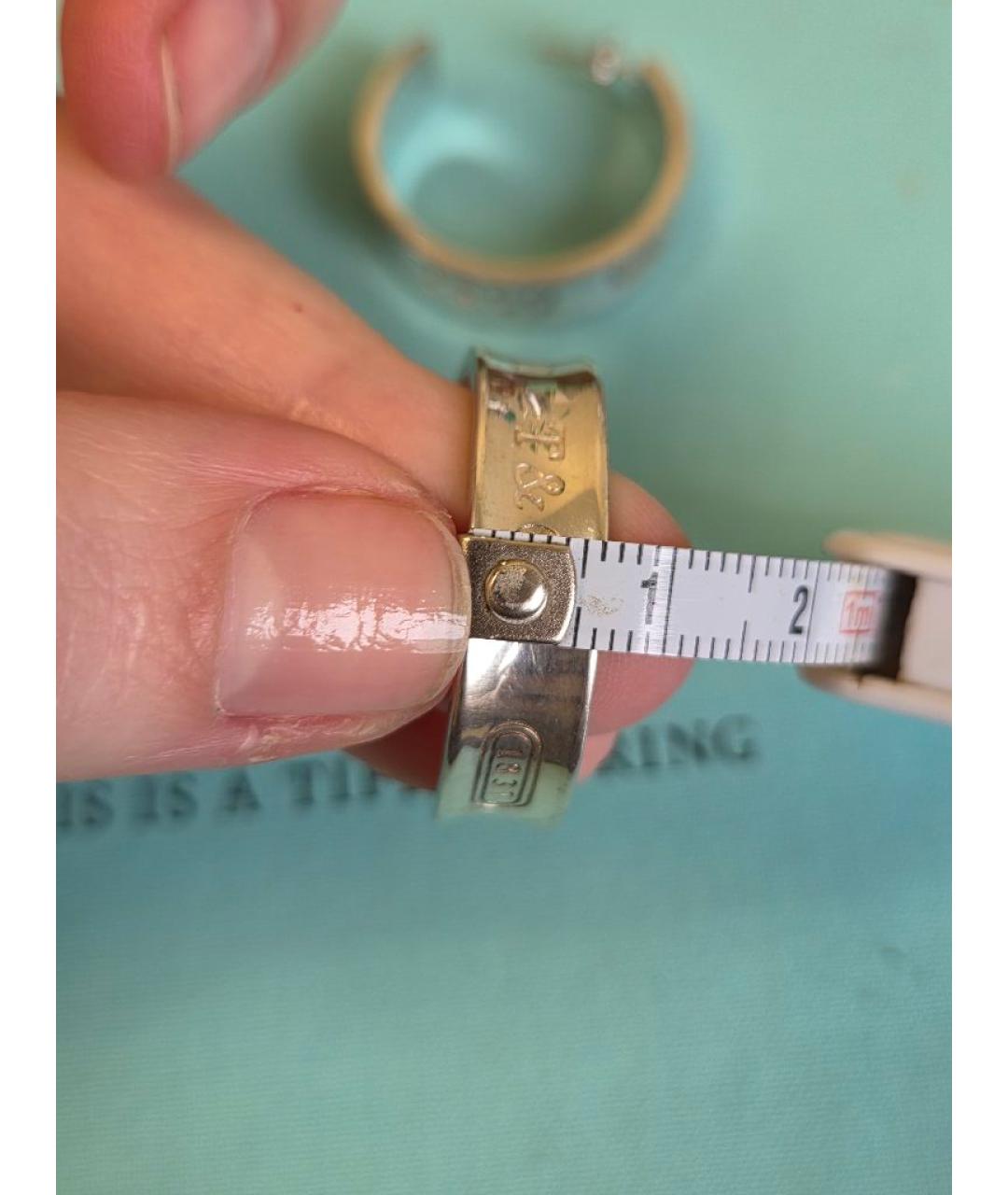 TIFFANY&CO Серебряные серебряные серьги, фото 4