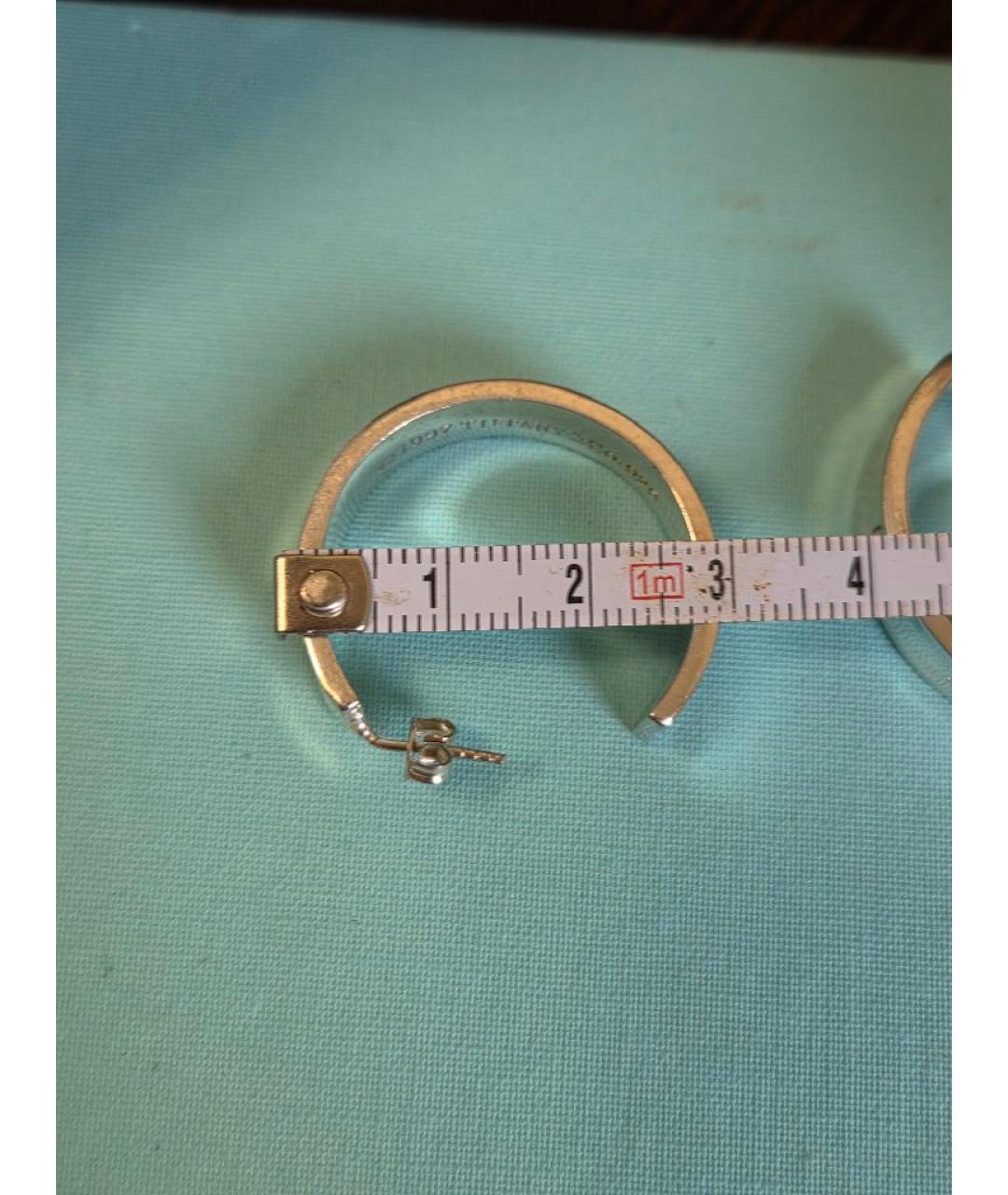 TIFFANY&CO Серебряные серебряные серьги, фото 5