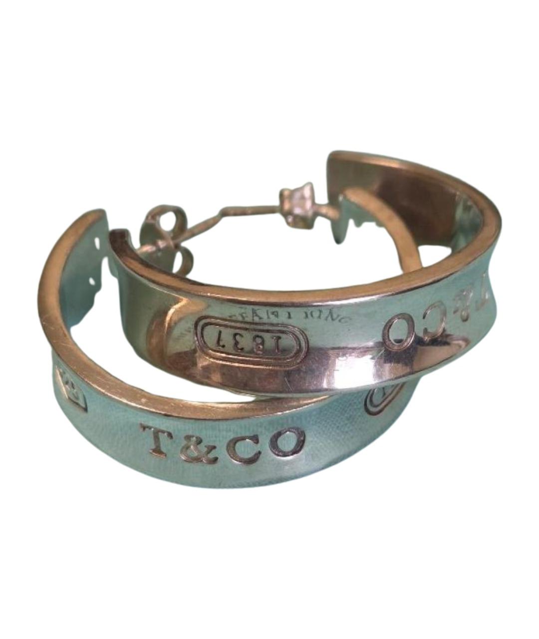 TIFFANY&CO Серебряные серебряные серьги, фото 1