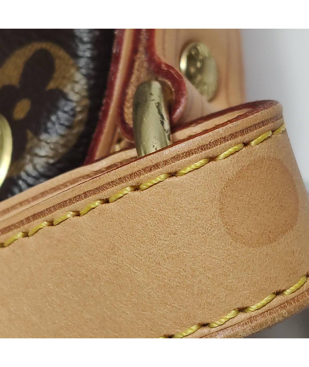 LOUIS VUITTON Коричневая сумка тоут, фото 4