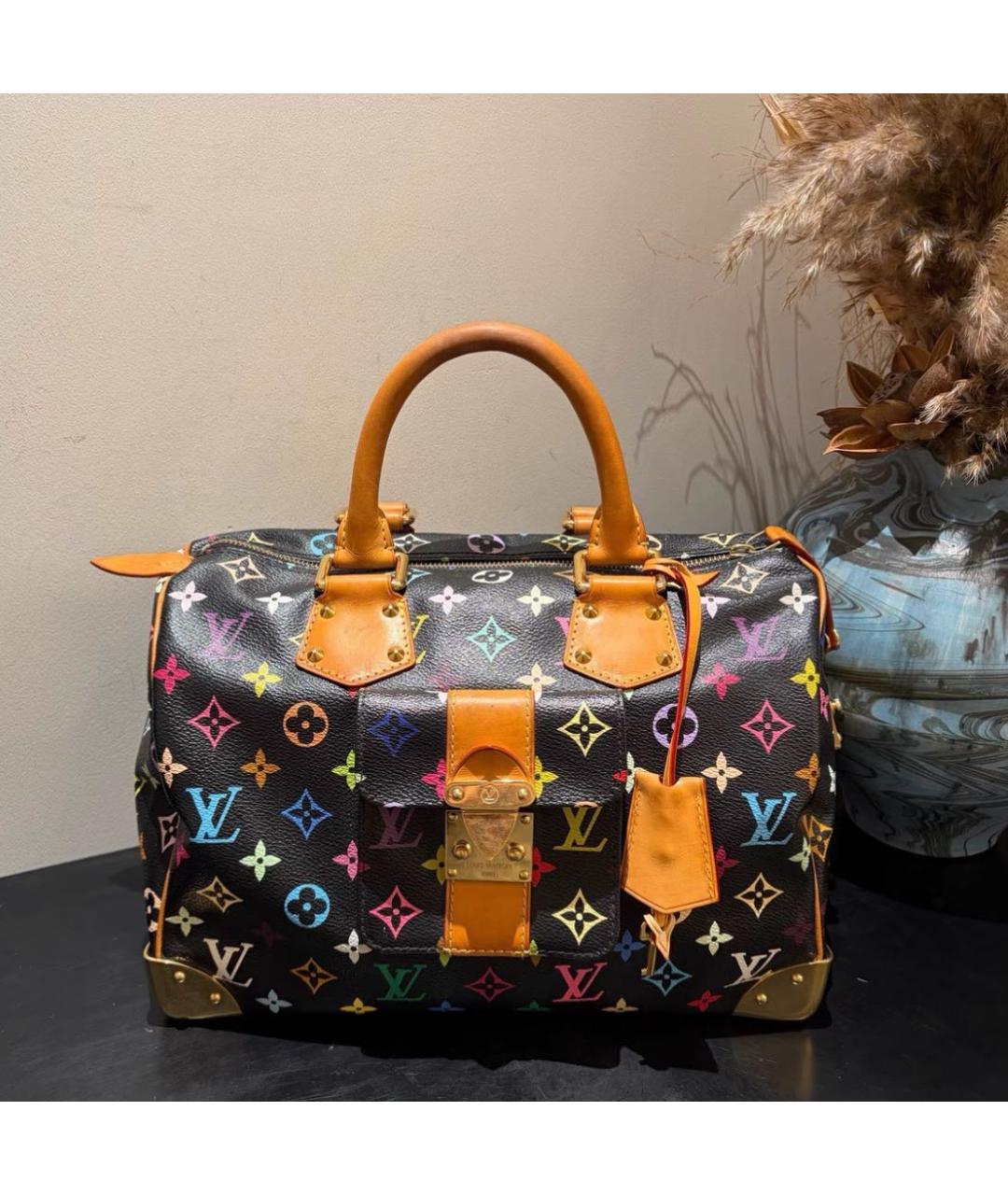 LOUIS VUITTON Мульти сумка с короткими ручками, фото 6