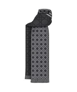 CHRISTIAN DIOR Шарф